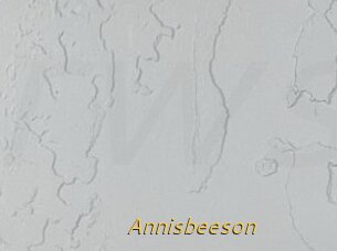 Annisbeeson