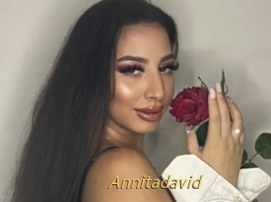 Annitadavid