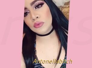 Antonellabitch