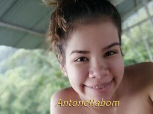 Antonellabom