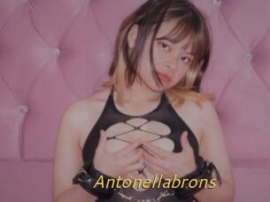 Antonellabrons