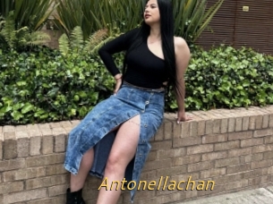 Antonellachan