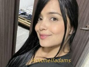 Antonelladams