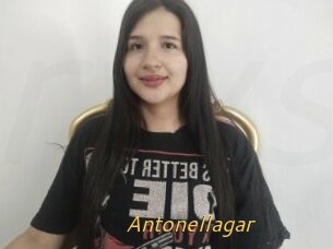 Antonellagar