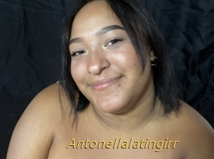 Antonellalatingirr