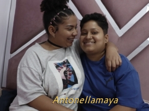 Antonellamaya