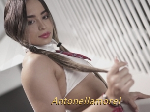 Antonellamorel
