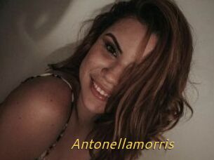 Antonellamorris