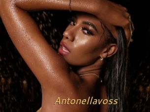 Antonellavoss