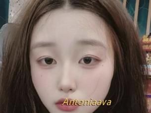 Antoniaava