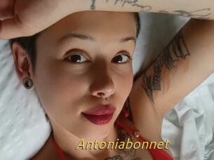 Antoniabonnet