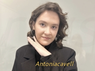 Antoniacavell