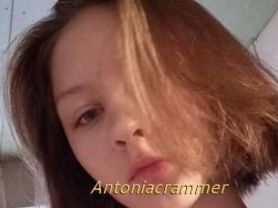 Antoniacrammer