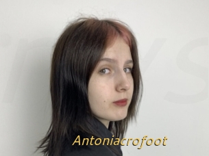 Antoniacrofoot