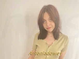 Antoniadowey