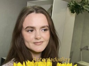 Antoniadudley