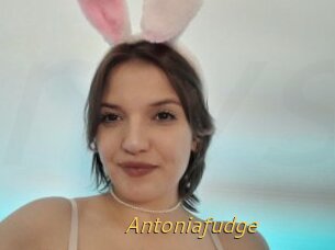 Antoniafudge