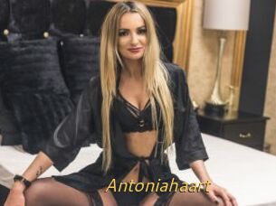 Antoniahaart