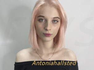 Antoniahallsted