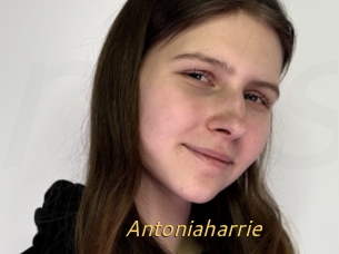 Antoniaharrie