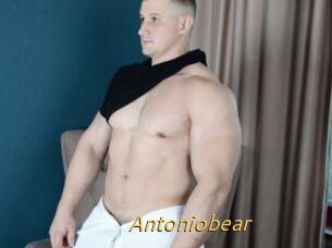 Antoniobear