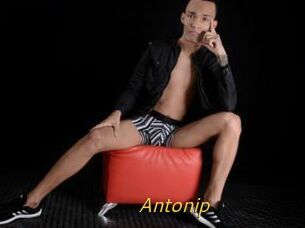 Antonip