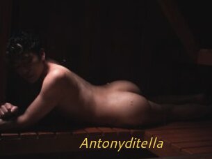 Antonyditella
