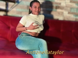 Anttonellataylor