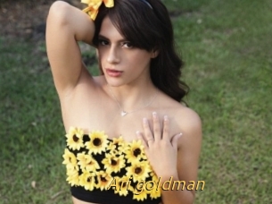 Ari_goldman