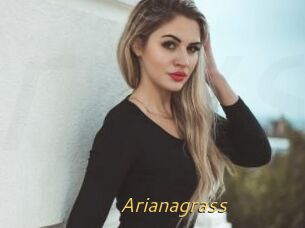 Arianagrass