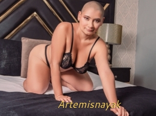 Artemisnayak