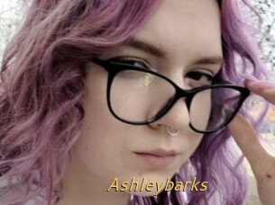 Ashleybarks