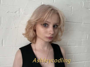 Ashleycodling