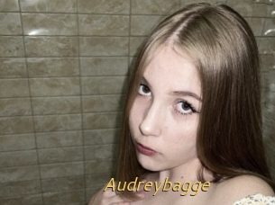 Audreybagge