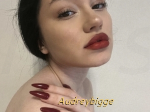 Audreybigge