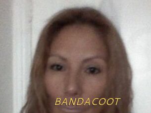 BANDACOOT