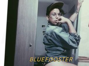 BLUEFOOSTER