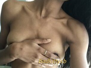 Badkittysb