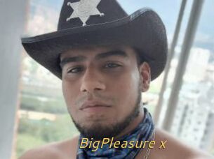 BigPleasure_x