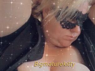 Bigmaturekitty