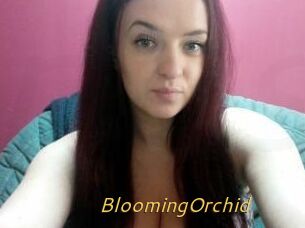 BloomingOrchid