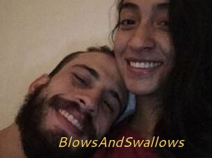 BlowsAndSwallows