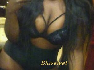 Bluvelvet