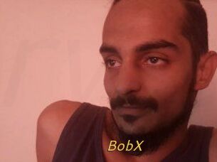 BobX