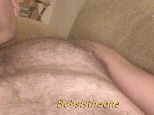 Bobsistheone