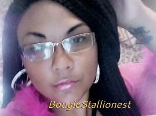 BougieStallionest