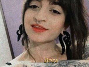 Briza