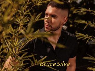 BruceSilva