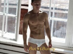 BucksBunny