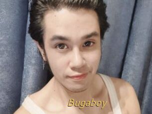 Bugaboy